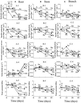 Xylem plasticity of root, stem, and branch in Cunninghamia lanceolata under drought stress: implications for whole-plant hydraulic integrity